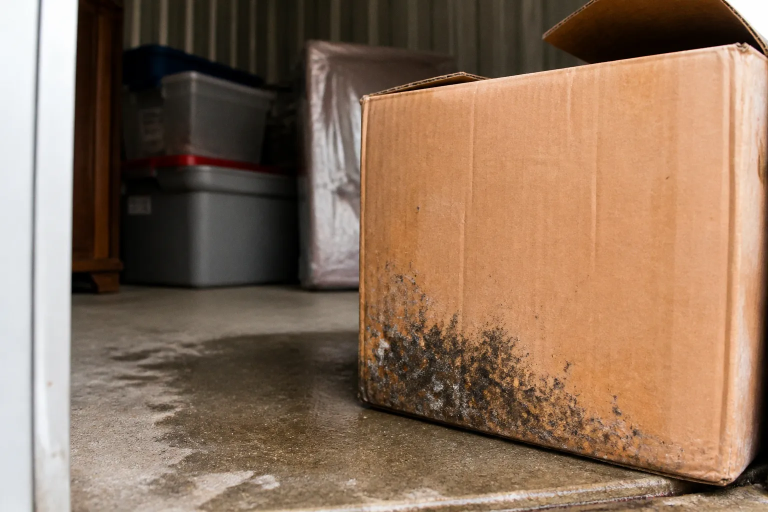 Плесень в боксе self-storage: почему портятся вещи и что делать